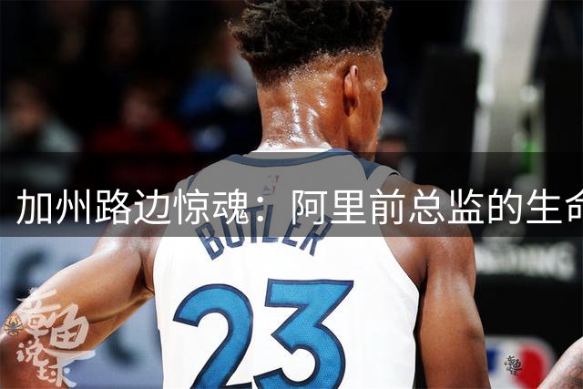 加州路边惊魂：阿里前总监的生命终点